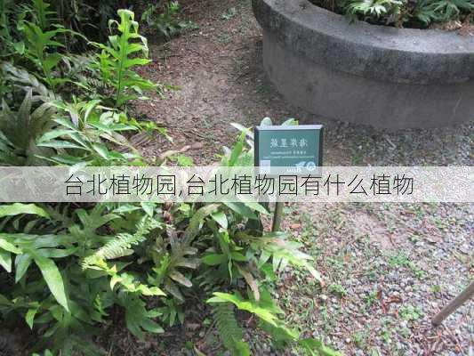 台北植物园,台北植物园有什么植物-第2张图片-奥莱旅游网