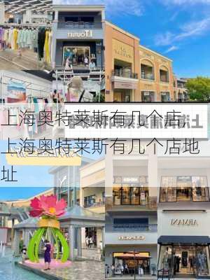 上海奥特莱斯有几个店,上海奥特莱斯有几个店地址-第2张图片-奥莱旅游网