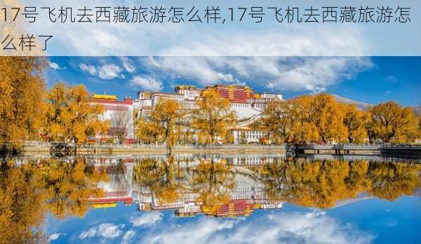 17号飞机去西藏旅游怎么样,17号飞机去西藏旅游怎么样了-第2张图片-奥莱旅游网