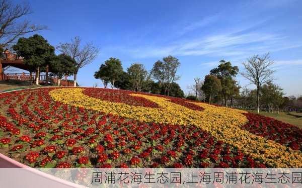 周浦花海生态园,上海周浦花海生态园-第3张图片-奥莱旅游网