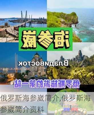 俄罗斯海参崴简介,俄罗斯海参崴简介资料-第1张图片-奥莱旅游网