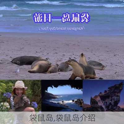 袋鼠岛,袋鼠岛介绍-第2张图片-奥莱旅游网