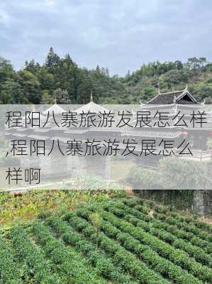 程阳八寨旅游发展怎么样,程阳八寨旅游发展怎么样啊