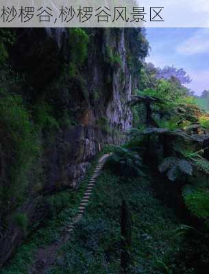 桫椤谷,桫椤谷风景区-第2张图片-奥莱旅游网