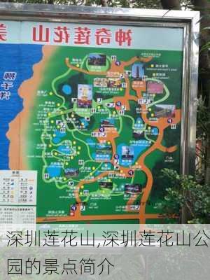 深圳莲花山,深圳莲花山公园的景点简介-第3张图片-奥莱旅游网