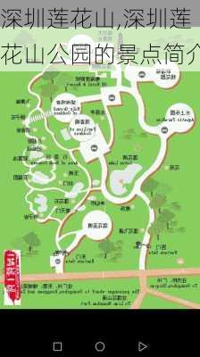 深圳莲花山,深圳莲花山公园的景点简介-第2张图片-奥莱旅游网