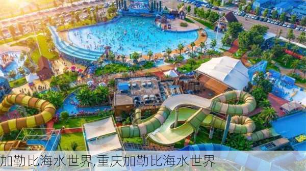 加勒比海水世界,重庆加勒比海水世界-第3张图片-奥莱旅游网