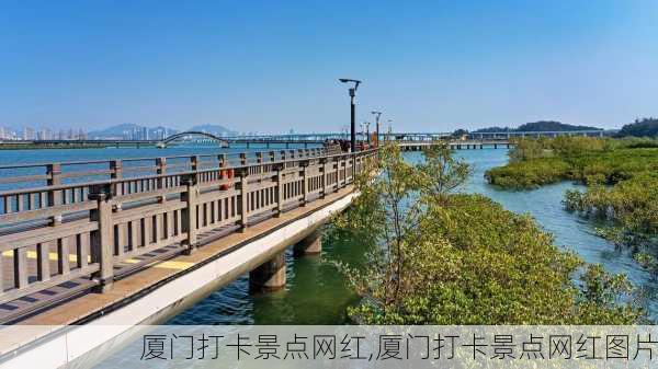 厦门打卡景点网红,厦门打卡景点网红图片-第2张图片-奥莱旅游网