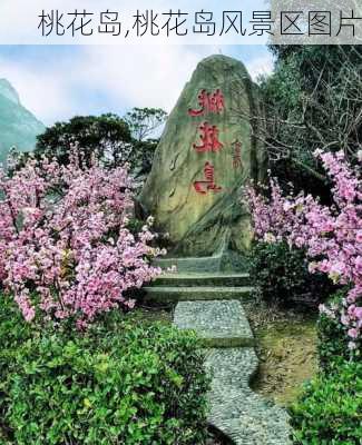 桃花岛,桃花岛风景区图片-第1张图片-奥莱旅游网