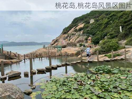 桃花岛,桃花岛风景区图片-第3张图片-奥莱旅游网