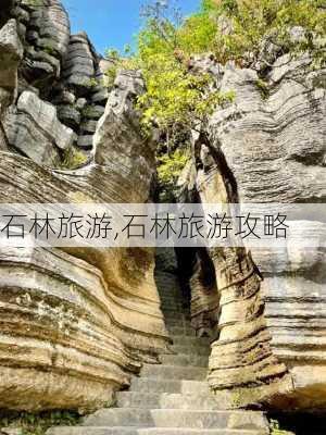 石林旅游,石林旅游攻略-第3张图片-奥莱旅游网