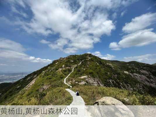 黄杨山,黄杨山森林公园-第1张图片-奥莱旅游网