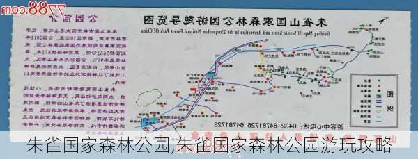 　　朱雀国家森林公园,朱雀国家森林公园游玩攻略-第2张图片-奥莱旅游网