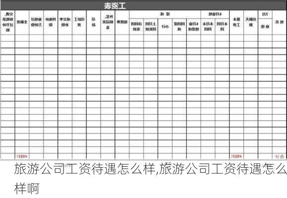 旅游公司工资待遇怎么样,旅游公司工资待遇怎么样啊-第2张图片-奥莱旅游网