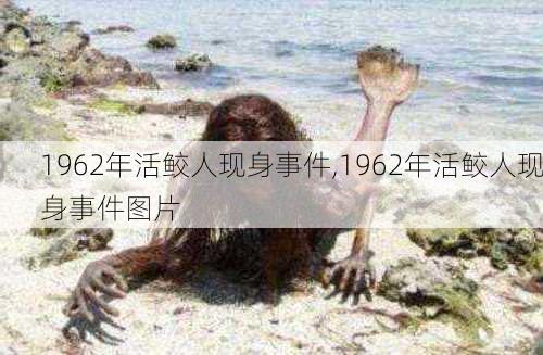 1962年活鲛人现身事件,1962年活鲛人现身事件图片