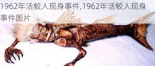 1962年活鲛人现身事件,1962年活鲛人现身事件图片-第2张图片-奥莱旅游网