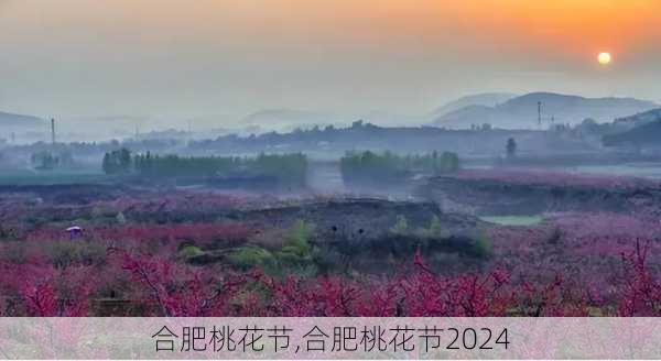 合肥桃花节,合肥桃花节2024-第3张图片-奥莱旅游网