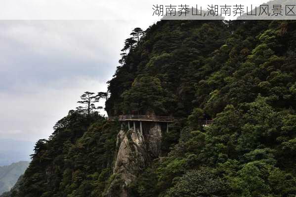 湖南莽山,湖南莽山风景区-第1张图片-奥莱旅游网