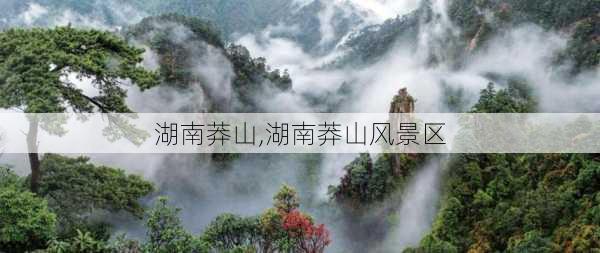 湖南莽山,湖南莽山风景区-第3张图片-奥莱旅游网