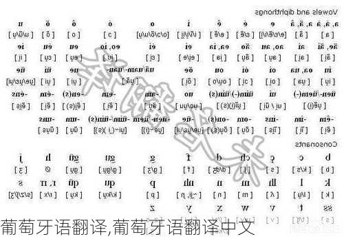 葡萄牙语翻译,葡萄牙语翻译中文-第3张图片-奥莱旅游网