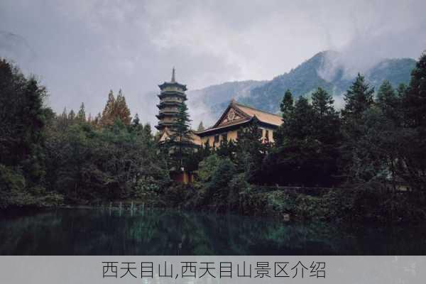 西天目山,西天目山景区介绍-第2张图片-奥莱旅游网