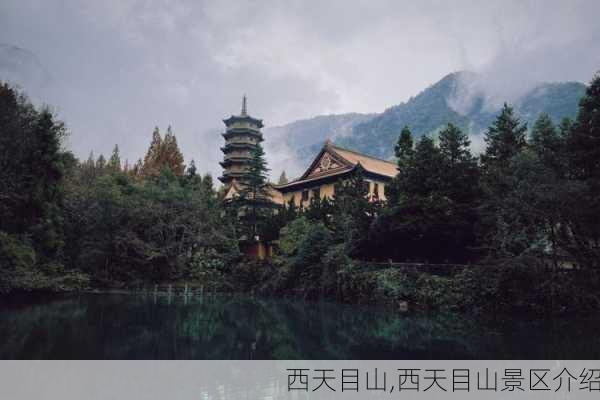 西天目山,西天目山景区介绍-第1张图片-奥莱旅游网