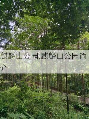 麒麟山公园,麒麟山公园简介-第2张图片-奥莱旅游网