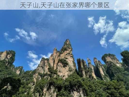 天子山,天子山在张家界哪个景区