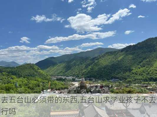 去五台山必须带的东西,五台山求学业孩子不去行吗-第3张图片-奥莱旅游网