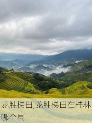 龙胜梯田,龙胜梯田在桂林哪个县-第3张图片-奥莱旅游网