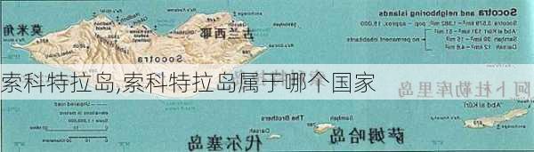 索科特拉岛,索科特拉岛属于哪个国家-第3张图片-奥莱旅游网