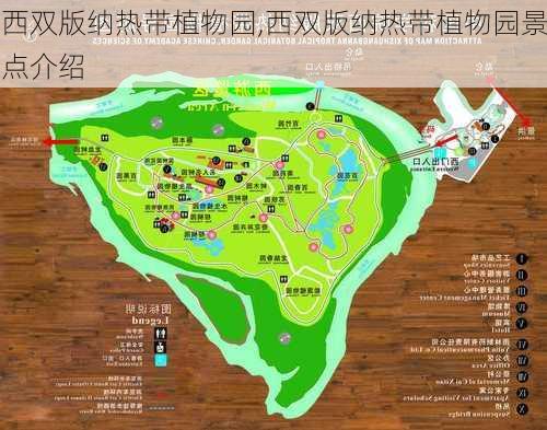 西双版纳热带植物园,西双版纳热带植物园景点介绍-第1张图片-奥莱旅游网