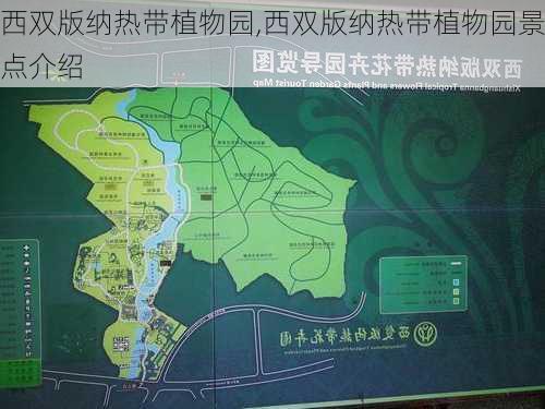 西双版纳热带植物园,西双版纳热带植物园景点介绍-第3张图片-奥莱旅游网