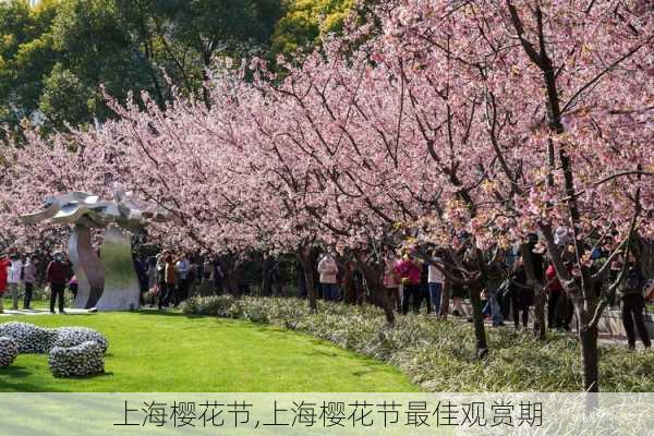 上海樱花节,上海樱花节最佳观赏期-第1张图片-奥莱旅游网