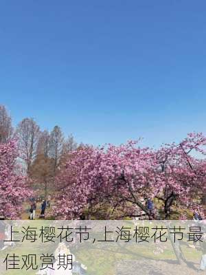 上海樱花节,上海樱花节最佳观赏期-第2张图片-奥莱旅游网