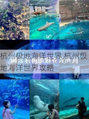 杭州极地海洋世界,杭州极地海洋世界攻略-第2张图片-奥莱旅游网