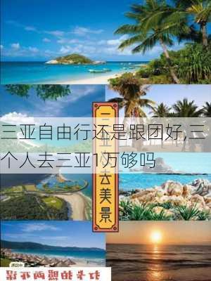 三亚自由行还是跟团好,三个人去三亚1万够吗-第2张图片-奥莱旅游网