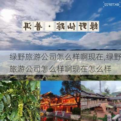 绿野旅游公司怎么样啊现在,绿野旅游公司怎么样啊现在怎么样-第3张图片-奥莱旅游网