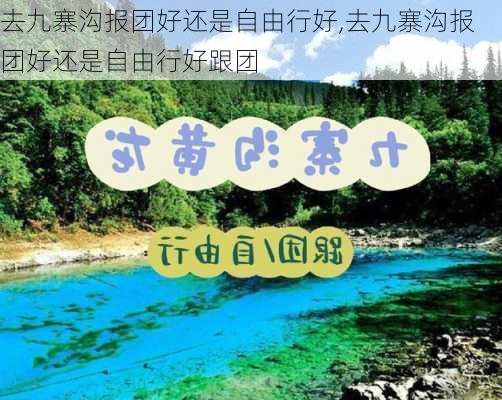 去九寨沟报团好还是自由行好,去九寨沟报团好还是自由行好跟团-第3张图片-奥莱旅游网