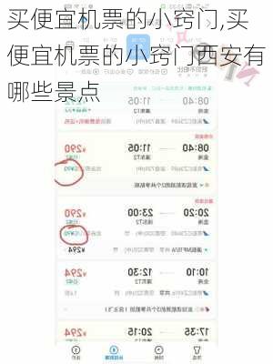 买便宜机票的小窍门,买便宜机票的小窍门西安有哪些景点-第3张图片-奥莱旅游网