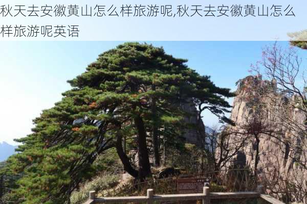 秋天去安徽黄山怎么样旅游呢,秋天去安徽黄山怎么样旅游呢英语-第2张图片-奥莱旅游网