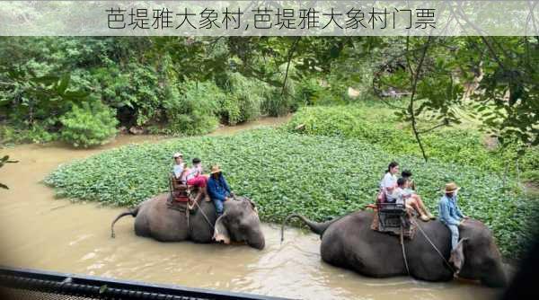 芭堤雅大象村,芭堤雅大象村门票-第1张图片-奥莱旅游网