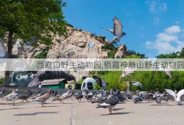 西霞口野生动物园,栖霞神雕山野生动物园-第2张图片-奥莱旅游网