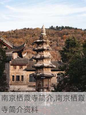 南京栖霞寺简介,南京栖霞寺简介资料-第1张图片-奥莱旅游网