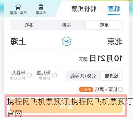 携程网飞机票预订,携程网飞机票预订官网-第3张图片-奥莱旅游网