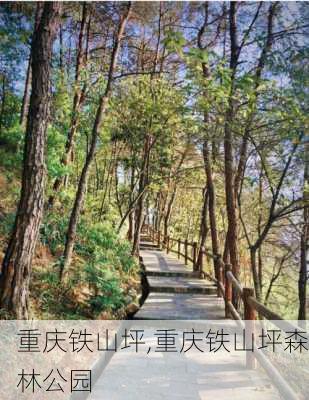 重庆铁山坪,重庆铁山坪森林公园-第1张图片-奥莱旅游网