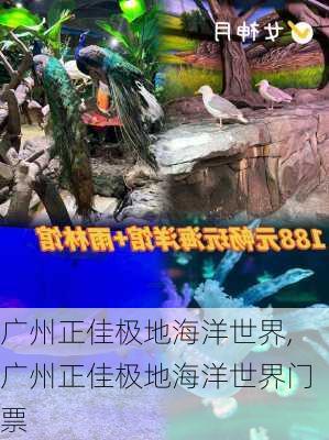 广州正佳极地海洋世界,广州正佳极地海洋世界门票-第1张图片-奥莱旅游网