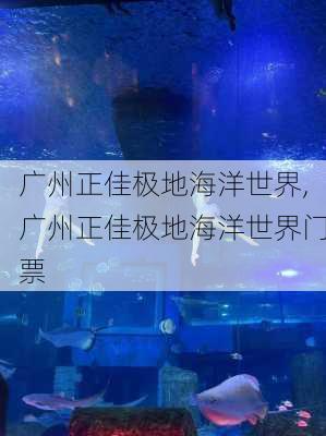 广州正佳极地海洋世界,广州正佳极地海洋世界门票-第3张图片-奥莱旅游网