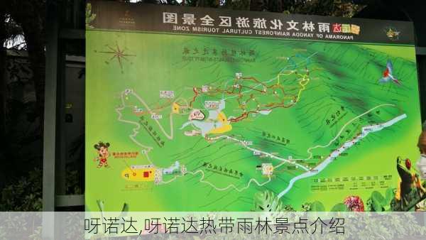 呀诺达,呀诺达热带雨林景点介绍-第2张图片-奥莱旅游网