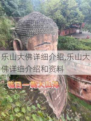 乐山大佛详细介绍,乐山大佛详细介绍和资料-第3张图片-奥莱旅游网